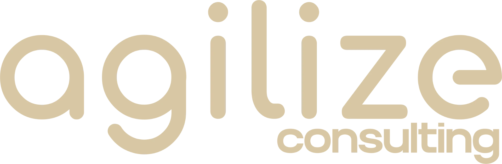 Agilize Consulting